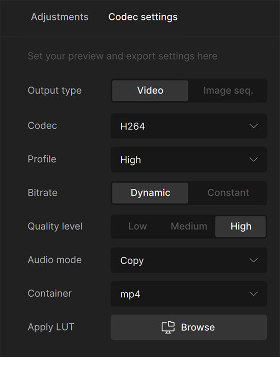「Codec settings」の設定