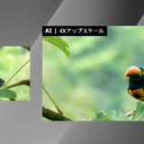 動画アップスケーリング