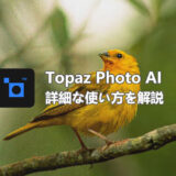 画像編集ソフト「Topaz Photo AI」の使い方！写真の品質をグッと高める！