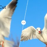 CapCutで動画を鮮明化する方法