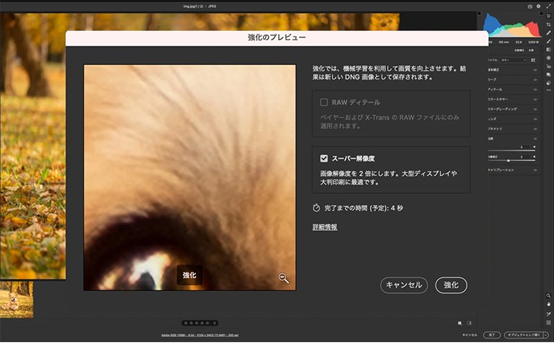 オフラインで使える画像高画質化ソフト:Photoshop