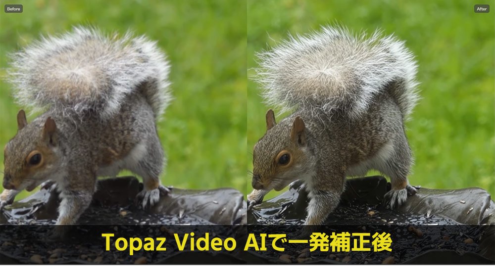 Topaz Video AI