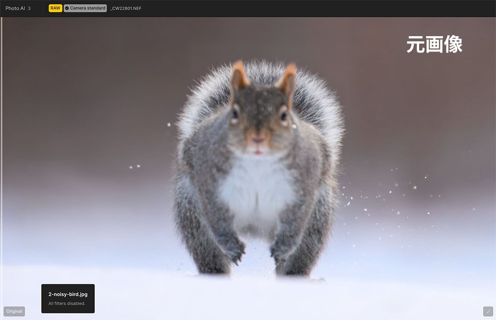 Topaz Photo AIで補正する前の画像