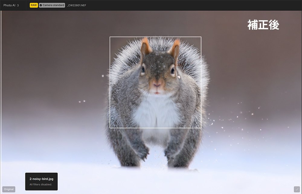 Topaz Photo AIで補正後の画像