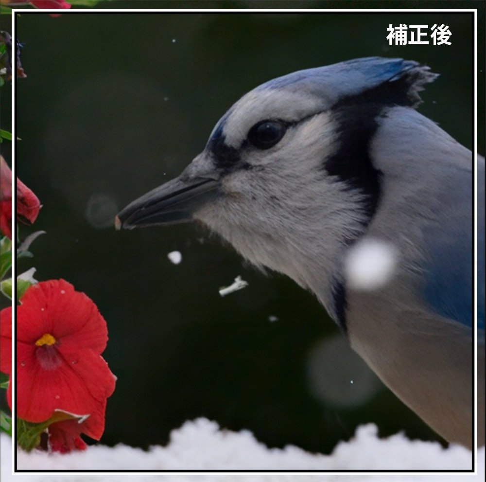 Topaz Photo AIで補正後の画像