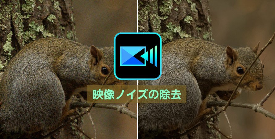 PowerDirectorで映像ノイズ除去