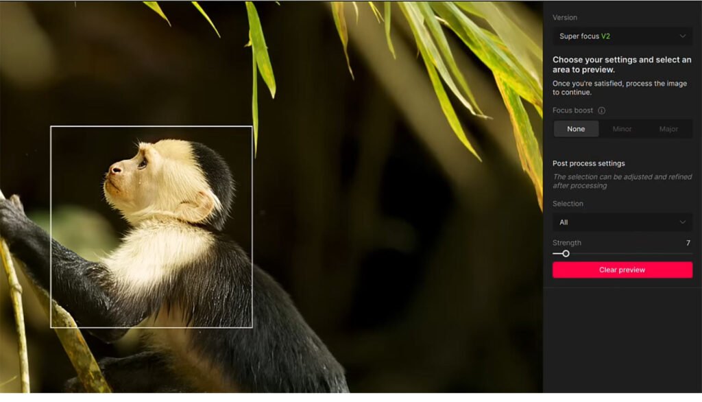 「Super Focus」の強度を調整