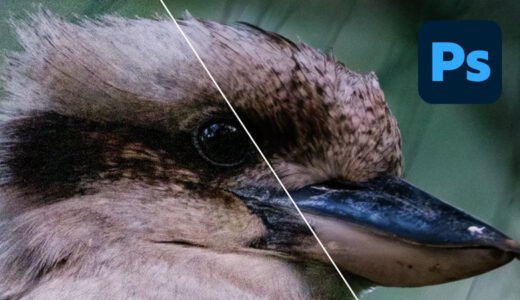 Photoshopでノイズを除去する方法まとめ｜AIノイズ軽減の適用量と注意点