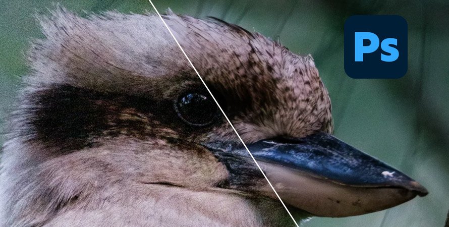 Photoshopでノイズを除去する方法